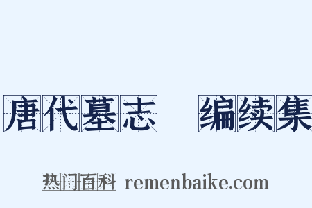 唐代墓志彚编续集是什么意思的图片